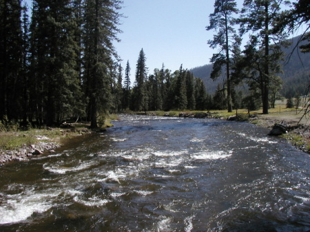 pine river