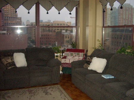 NJ apartment w/views of downtown NY in background