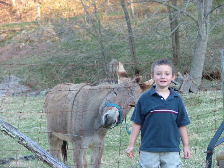 Malachi & Donkey