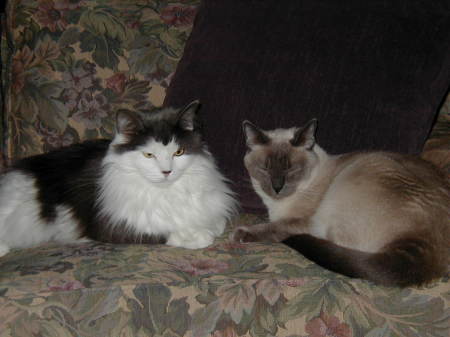 Our "daughters," Cilla and Simone