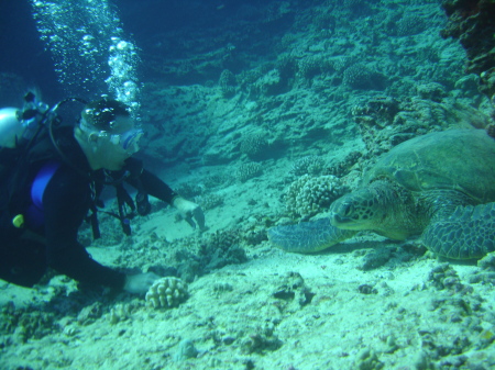 MY UNDERWATER FRIEND !