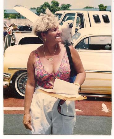 Bonnie's Parrot Fantasia Key West 48 yrs. old
