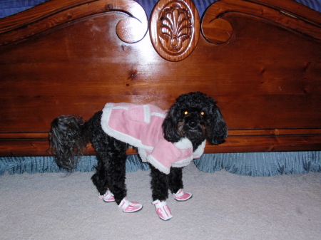 Bella's new winter outfit! she luv's it!