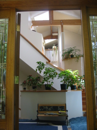 Looking in the front entryway