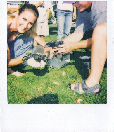 Raised 2 baby crows that fell from their nest in front yard