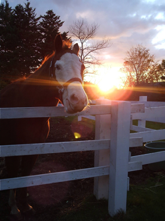 Mel In The Autumn Sunset