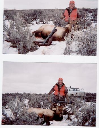 First Bull Elk 2003