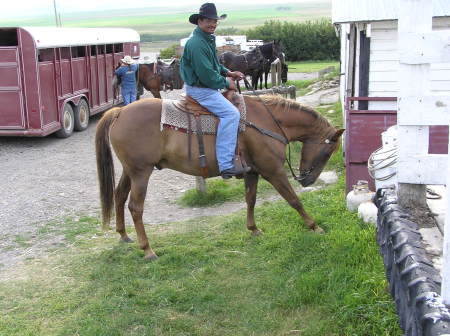 Ranch horseback riding