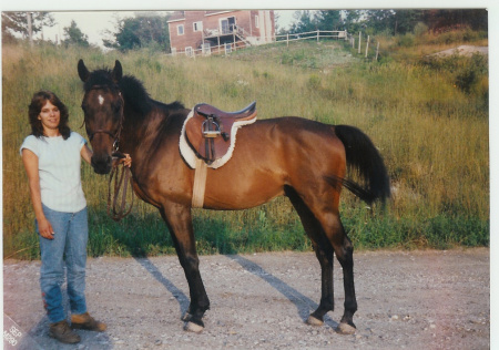 My Old Horse