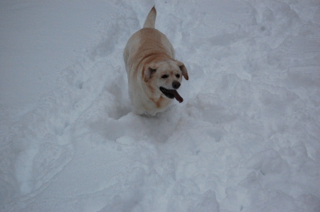 She loves the snow!!