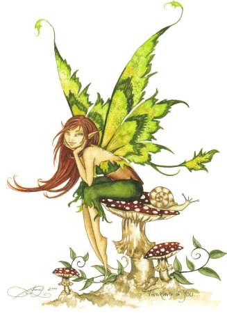 fairies