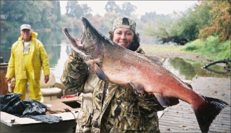 Here fishie fishie fishie (Salmon at the Sacramento river)