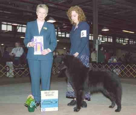 Quest's first show