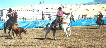 Ropin in Laughlin