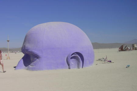 Blue Head at Burning Man