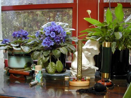 African Violets and Kaleidescopes