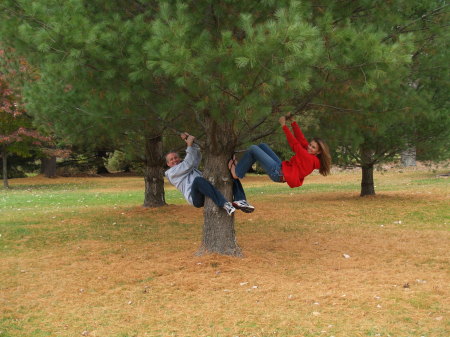 Monkeys in a tree