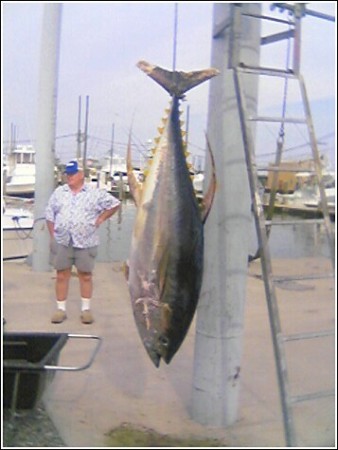 TUNA  186 lbs