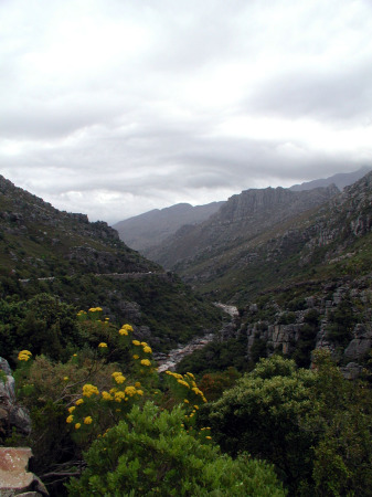 Bainskloof Pass--South Africa