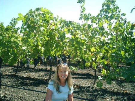 Me in Napa Valley...2005