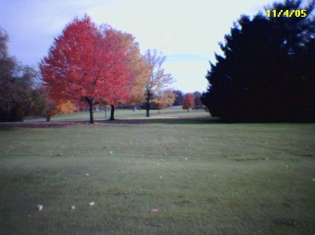 A beautiful day on the Golf Course