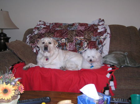 my dogs kamper and Petey