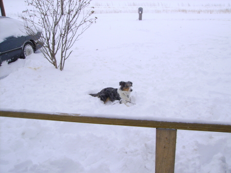 Laini playing in the snow March 2008