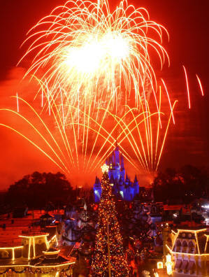 Holiday Wishes Disney World