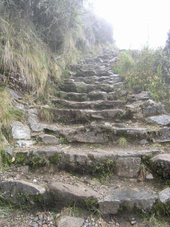 INCA TRAIL STEPS ~ good 4 day workout !