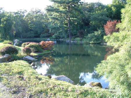 japanese garden