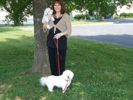 my bichons, lacey belle and Sadie