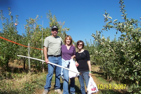 The hunt for Pink Lady Apples!