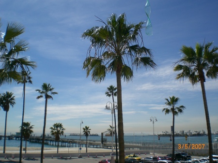 My Life On The Beach - Belmont Pier - L.B. CA