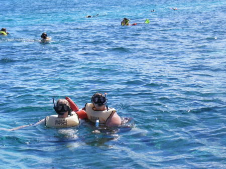 Snorkeling in Nassau