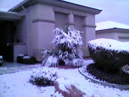 Snow in Vegas