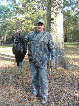 Florida Osceola Turkey