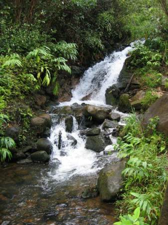 Kauai waterfall 07