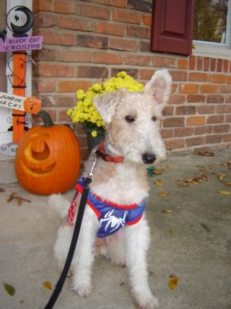 Niles Barkly Cadwallader Holoween 2007