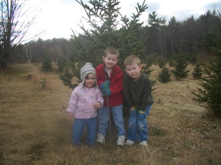 Christmas Tree Cutting 2006