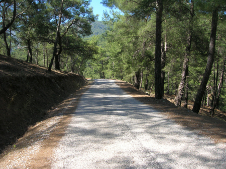 Road from House In Gokbel