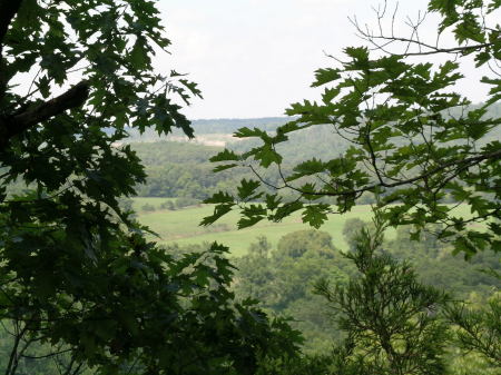 Scene above the Spring river, Arkansas