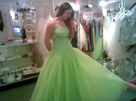 Bree's Prom Dress 2007