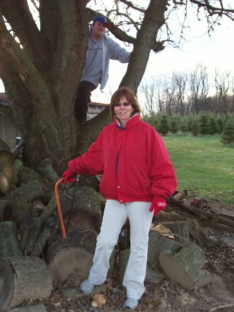 Picking up Christmas tree