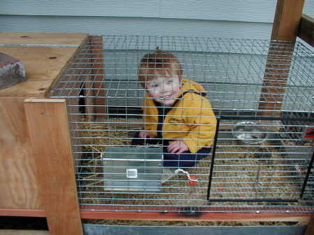 Jacob exploring the rabit cage