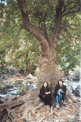 Near the Iraq Border