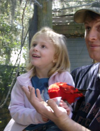 Fun with lorikeets.