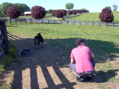 me and the farm goat, straight up chilaxin..