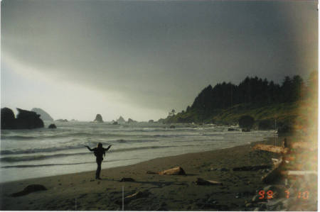 Secret Beach in the Redwoods of Northern, California