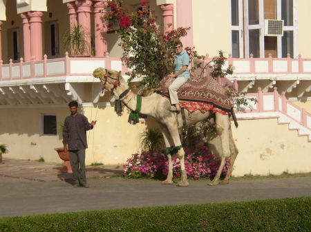 Riding a camel - India