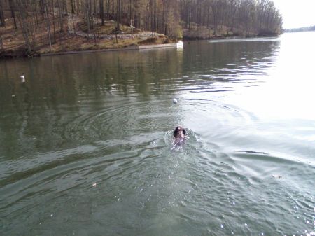 Ali swimming